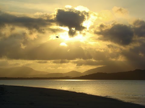 Flor da Pele - Rachell Luz & Zeca Baleiro