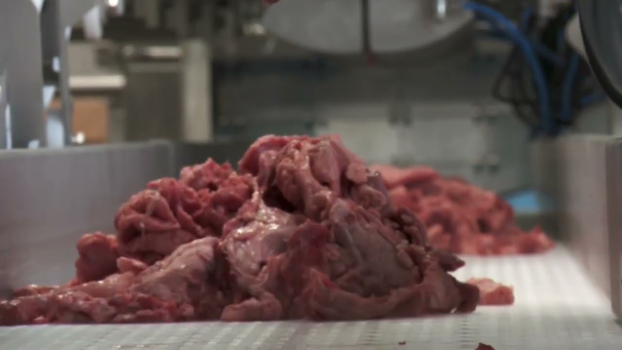 Fat Analysing Trim Management Solution for Red Meat Processors - SF Engineering