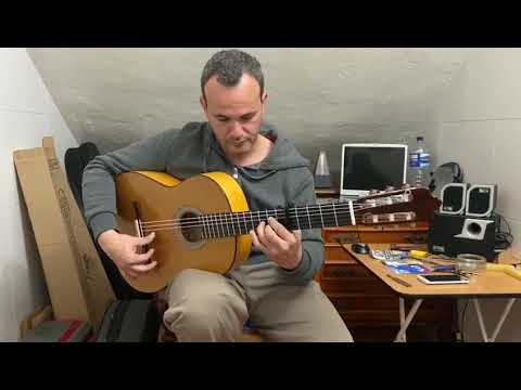 Jose Salinas 2020 - Flamenco Guitar image 6
