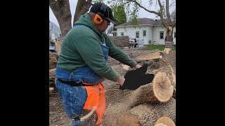New pro saw in my wood yard!  What did I get?