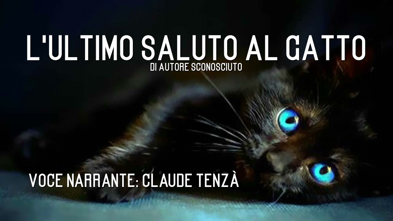 L'ultimo saluto al gatto