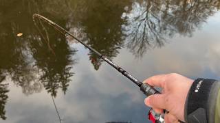 SPORTEX prút BLACK ARROW G4 Spin 240 cm / 10 g