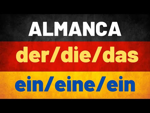 Ders 17 / Almanca A1 Temel Seviye / der-die-das-ein-eine #almancaa1  #almancaöğren