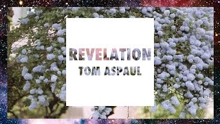 Tom Aspaul - Revelation (Mixtape)