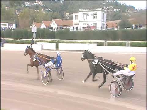 Trotto 22/11/2019 - 1ª corsa