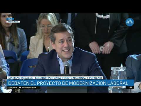 SENATOR MARIANO RECALDE - PLENARY SESSION ON WORK AND BUDGET 17-12-25