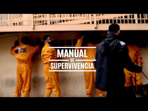 Manual de Supervivencia