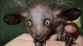 If I Had An Exorcism by the Melvins with lyrics, gifs, and pics