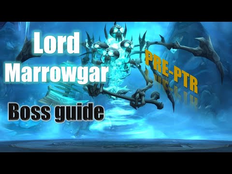 LORD MARROWGAR BOSS GUIDE - ICECROWN CITADEL