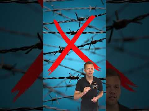 Mythos-Alarm: Können Hummeln stechen oder nicht? 🐝