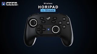 [問題] PC上哪家手把最適合?PS5/XB/Hori的Steam ?