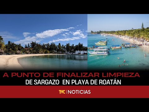 A punto de finalizar limpieza de sargazo en Playa West Bay de Roatán, Islas de la Bahía.