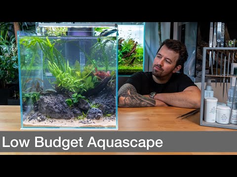 Low Budget Aquascape ohne CO2! | Liquid Nature
