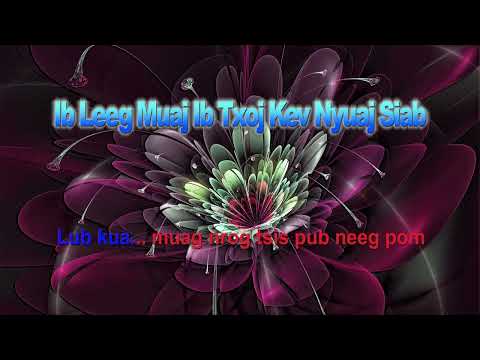 Mykurt Lor - Ib Leeg Muaj Ib Txoj Kev Nyuaj Siab (Karaoke)