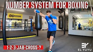 Simple Boxing Number System for Southpaw & Orthodox Stance