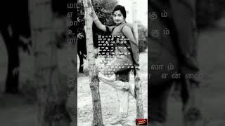 Download lagu பருவம் எனது பாடல் mp3