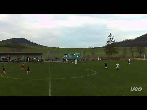 Ženklava – TJ Tatran Mankovice