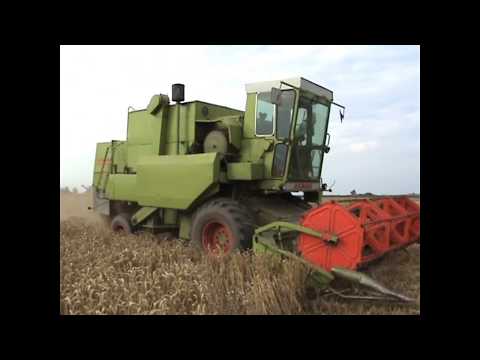 Loonw. Borry - Ieper - Claas Dominator 85