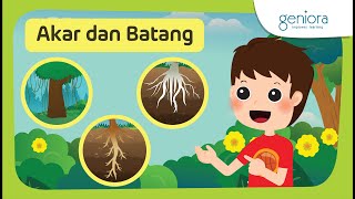 Download lagu Akar dan Batang | Bentuk dan Fungsi Bagian Tumbuhan | IPA | 4 SD | SayaBisa mp3 Download lagu Akar dan Batang | Bentuk dan Fungsi Bagian Tumbuhan | IPA | 4 SD | SayaBisa mp3