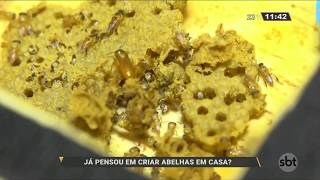 Miniatura do vídeo