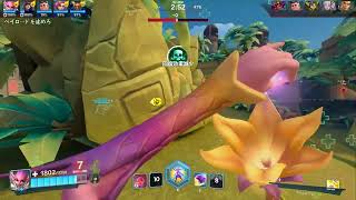 Paladins ペイロード