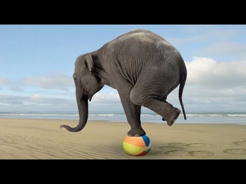 Tv7 con Voi del 02/02/2015 - Tempo di bilanci e novità per ETRA (1 DI 3)