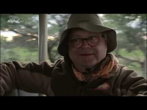 Verrückt nach Zug  12 Von Kapstadt nach Windhoek   Giraffen im Morgengrauen