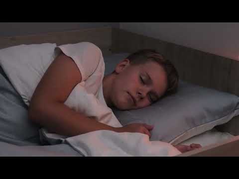 Twin Size Bed Dimensions Guide: Everything You Need to Know