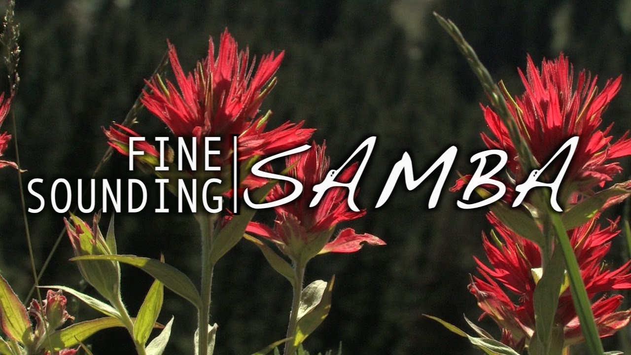 Jim Averitt - "Fine Sounding Samba"