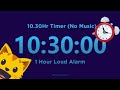 10 Hour 30 minute Timer Countdown (No Music) + 1 Hour Loud Alarm
