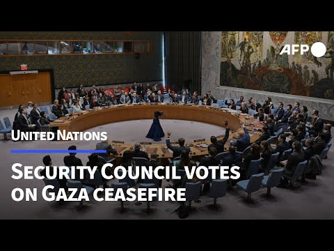 🔴 LIVE: UN Security Council votes on new draft resolution seeking immediate Gaza ceasefire  | AFP