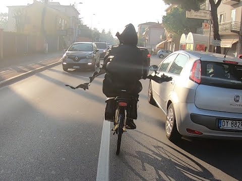 ELECTRIC BIKE in hallowen humiliates all cars and scooters - E-DAFNE