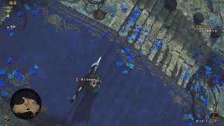 今週のてーきはいしん→[モンハンワイルズ][PS5][参加可]