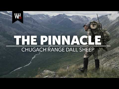 Hunting Dall Sheep in Alaska's Chugach Range | The Pinnacle