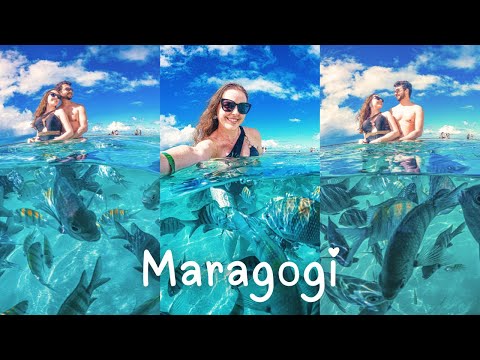 Tudo o que fizemos em Maragogi em um dia | O Caribe Brasileiro ❤️🇧🇷