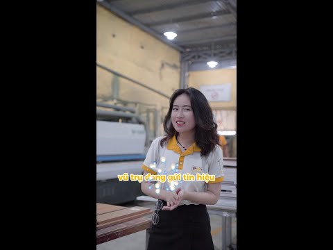 Ưu đãi thi công nội thất 2024: Giá Tốt - Chốt Thêm Quà 