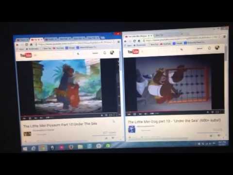 The Little Mer-Possum and The Little Mer-Dog: Under The Sea