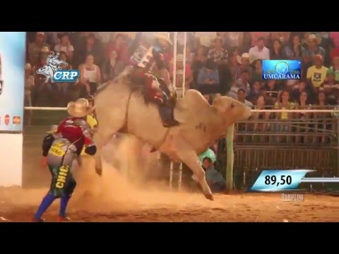 Rodeio de Umuarama 2016 - MELHORES MONTARIAS / SEMI FINAL