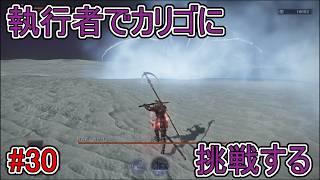 【エルデンリング】執行者でカリゴに挑戦する【ナイトレイン】#30