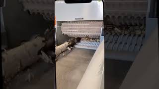 Download lagu Mesin penghancur kayu Huatao dapat memotong apa saja, tidak hanya kayu #woodchipper #chipper #shredder #woodworker mp3