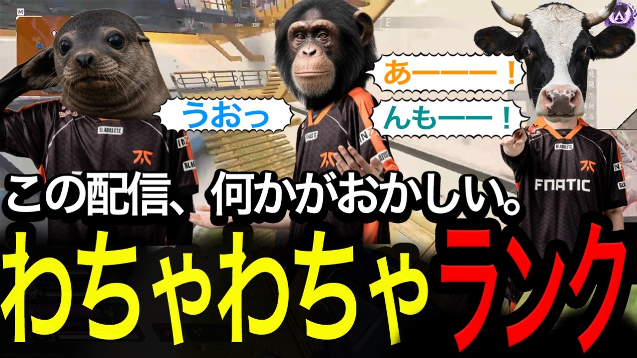 【動物化】FNATICメンバーでのランク、何かがおかしい。【Apex/エーペックスレジェズ/FNATIC/Lible_Ace/YukaF/Kernel garcia】