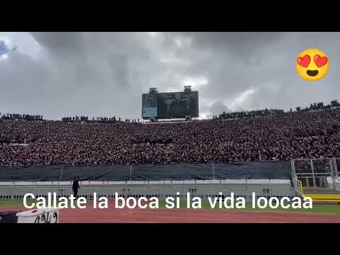🚨🚨Somos curva suuud👽 nuevo tema de la curva sud