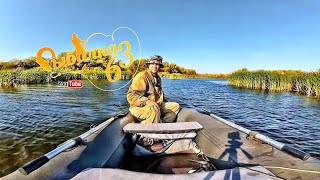 Любительская рыбалка в самаре на щуку