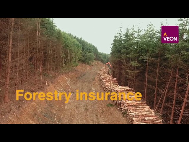 Veon Forestry