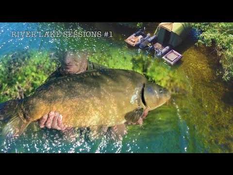 River Carp Fishing Vlog#12 River lake sessions Part 1 (ENGLISH)