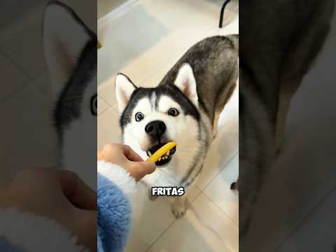 Fiesta de papas fritas con animales adorables – ¿Quién es tu favorito? 🐱🐶🍟🐰✨