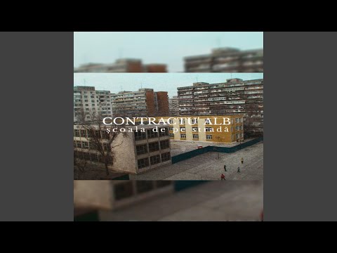 Scoala De Pe Strada (feat. Shobby)