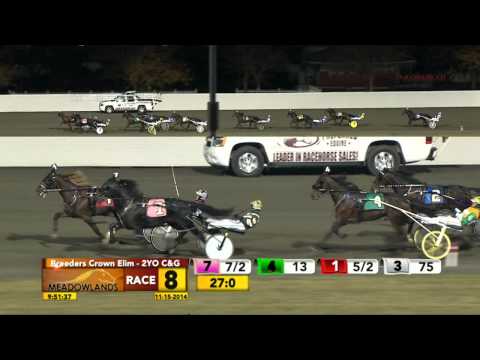 Breeders Crown Elimination - Go Daddy Go - November 15, 2014