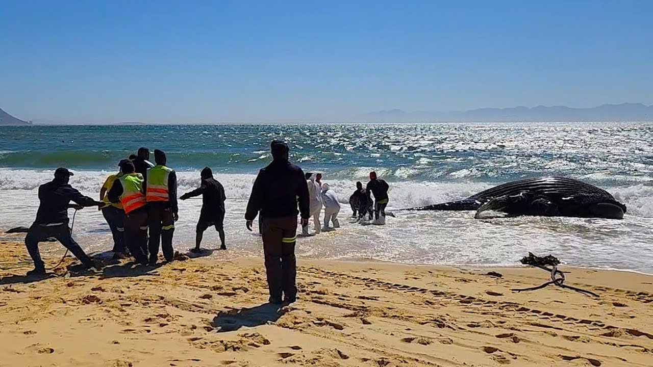 South Africa Today on 16 October 2024