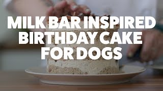 dog birthday cake peanut butter icing
